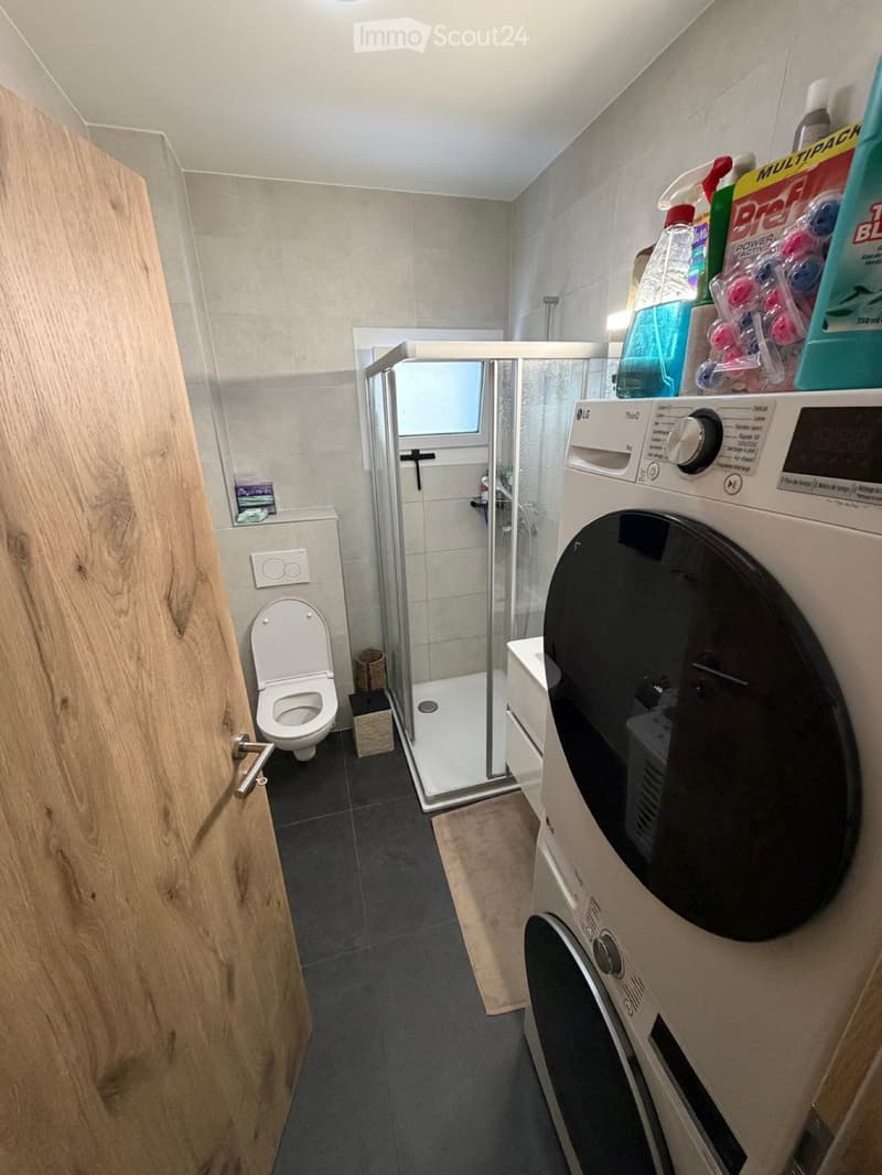 Appartement de 3.5 avec terrasse (3)