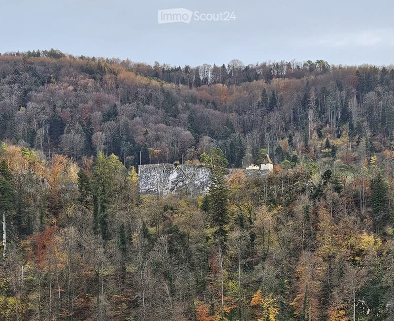 Charming house with a view of a castle (2)