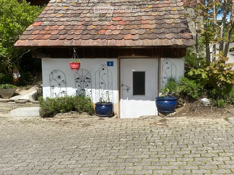 A LOUER - DUPLEX 7,5 pces + dépôt artisanal+ 4 pl. parc (4)