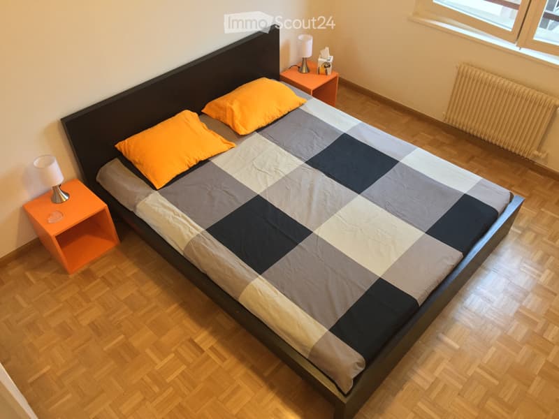 Großes Zimmer im Stadtzentrum von Plainpalais (1)
