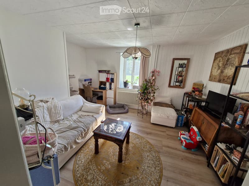 Wohnung 3 Zimmer Erdgeschoss Montet (1)