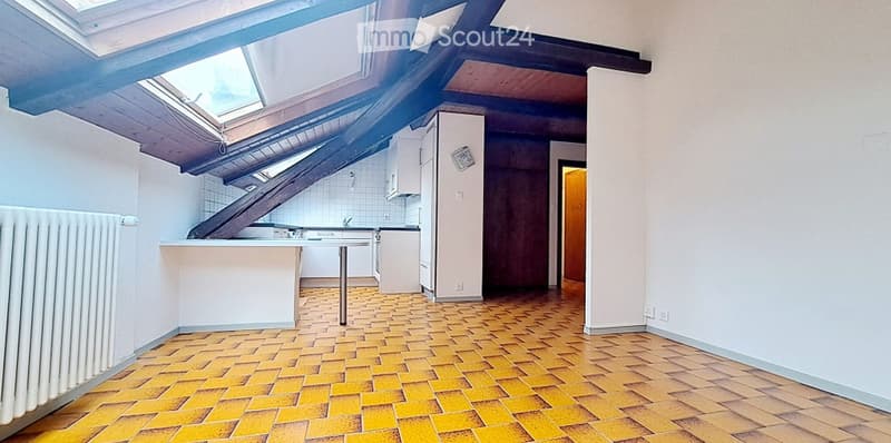 2,5 pièces atypique - Yverdon-les-Bains (1)
