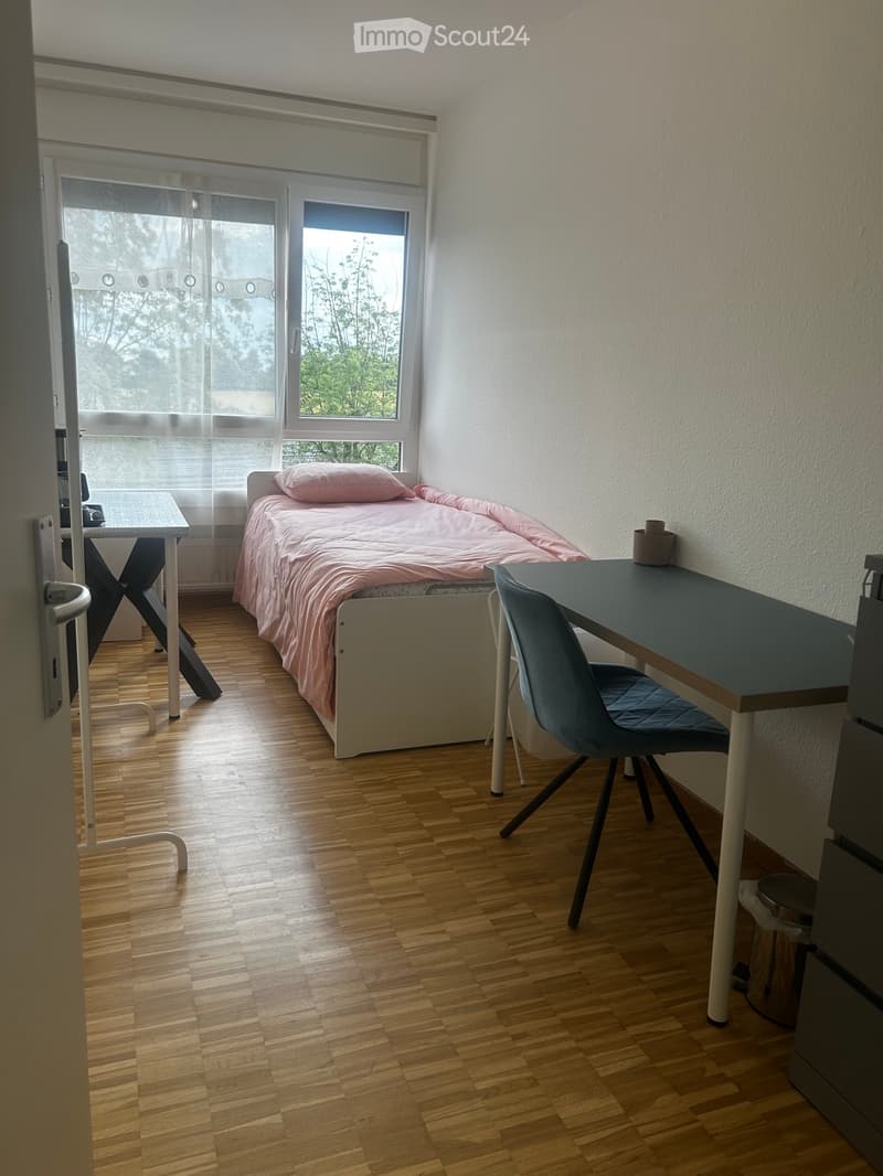 Zimmer zur Miete (1)