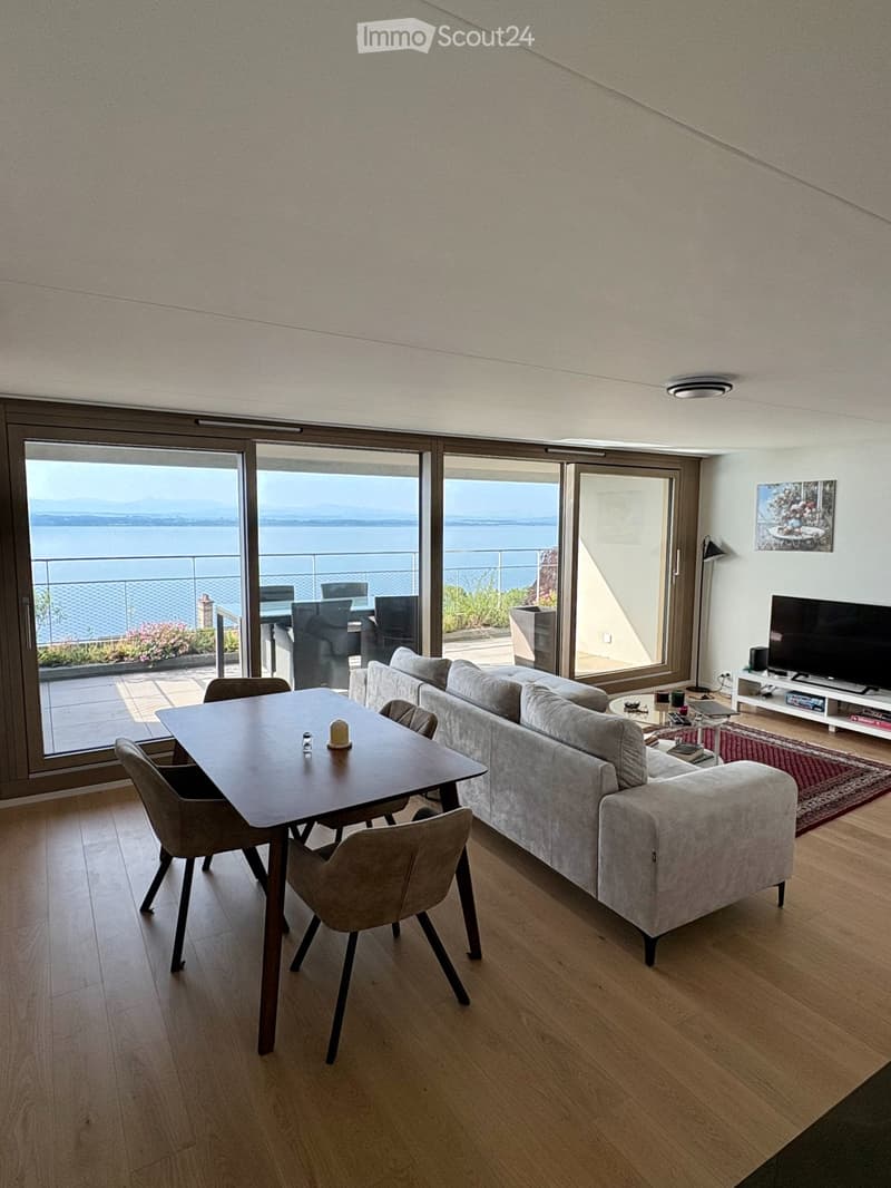 Appartement au coeur de Neuchâtel Vue imprenable sur le lac (1)