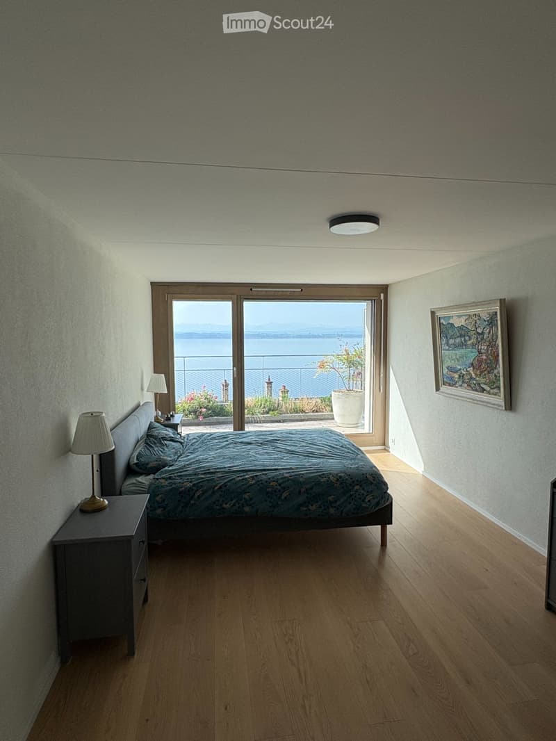Appartement au coeur de Neuchâtel Vue imprenable sur le lac (2)