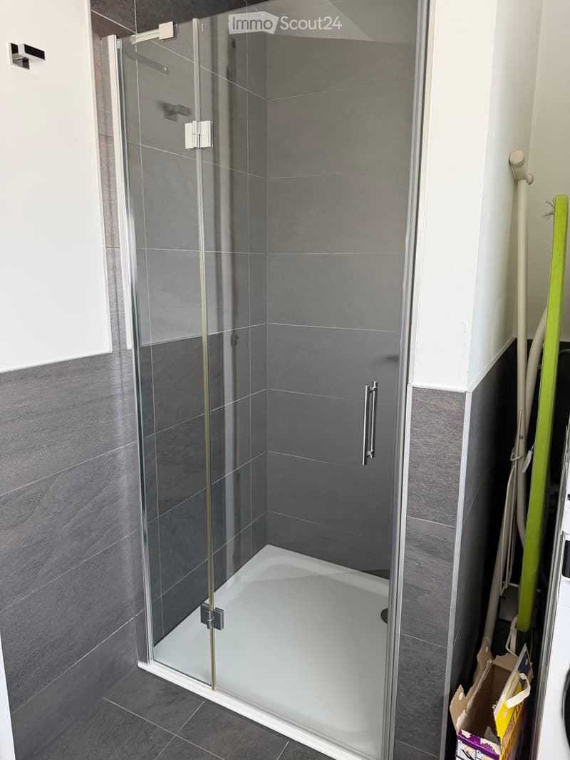 Dachgeschosswohnung 4,5 Zimmer (5)
