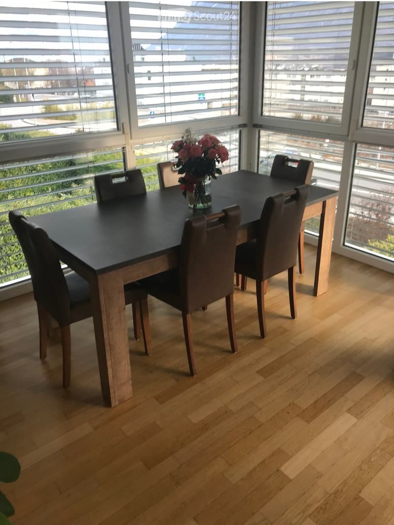 Beautiful sunny apartment (3)
