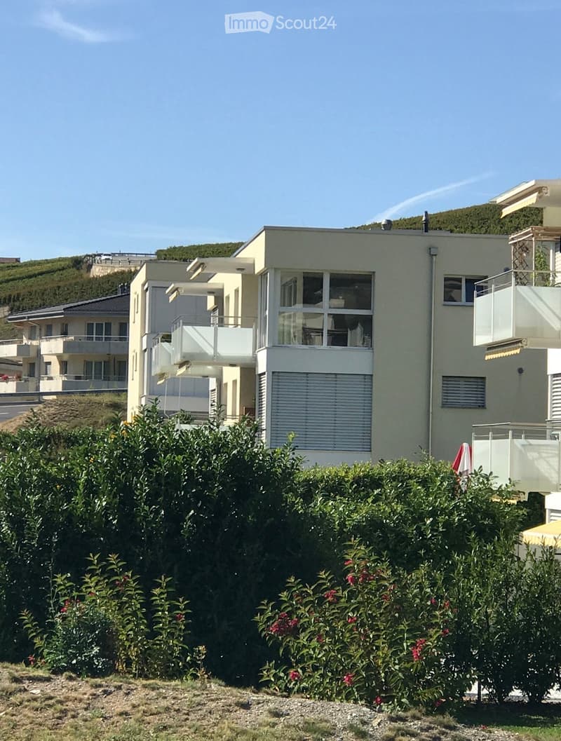 Beautiful sunny apartment (1)