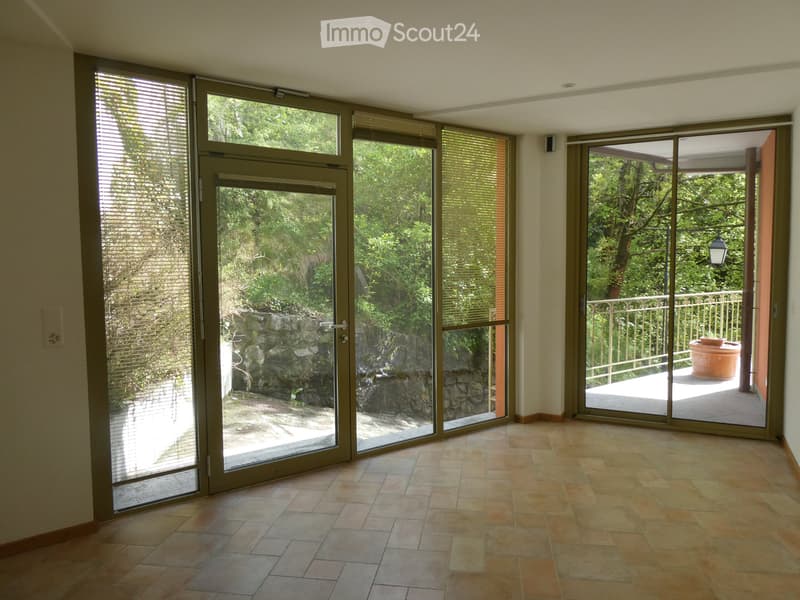 Alti di Montreux - monolocale con piccola terrazza (3)