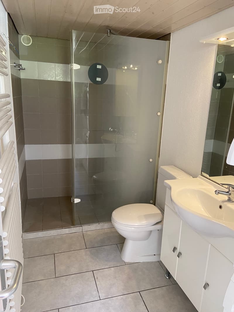 Appartamento di 2,5 locali (45m2) in una casa familiare (5)
