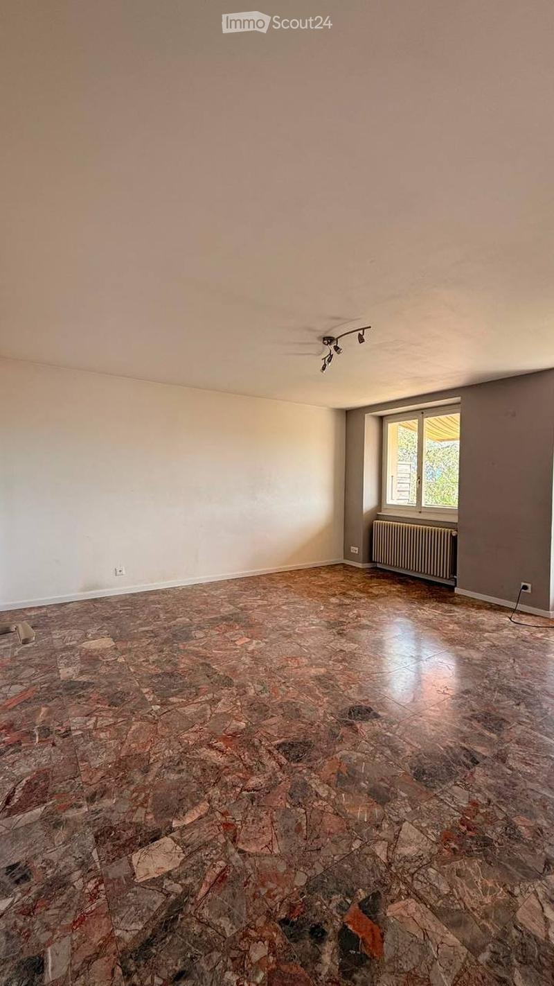 Appartamento 4,5 locali, quartiere calmo (3)
