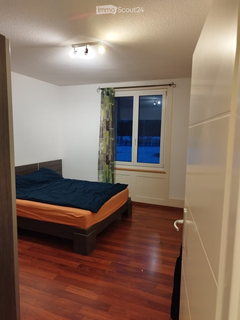 Appartamento 3 locali (1)