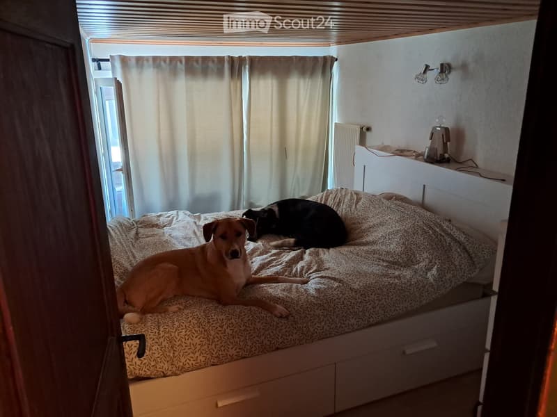 Ripreso in affitto Charmant appartement 3.5.p 1er juillet 2026 (3)
