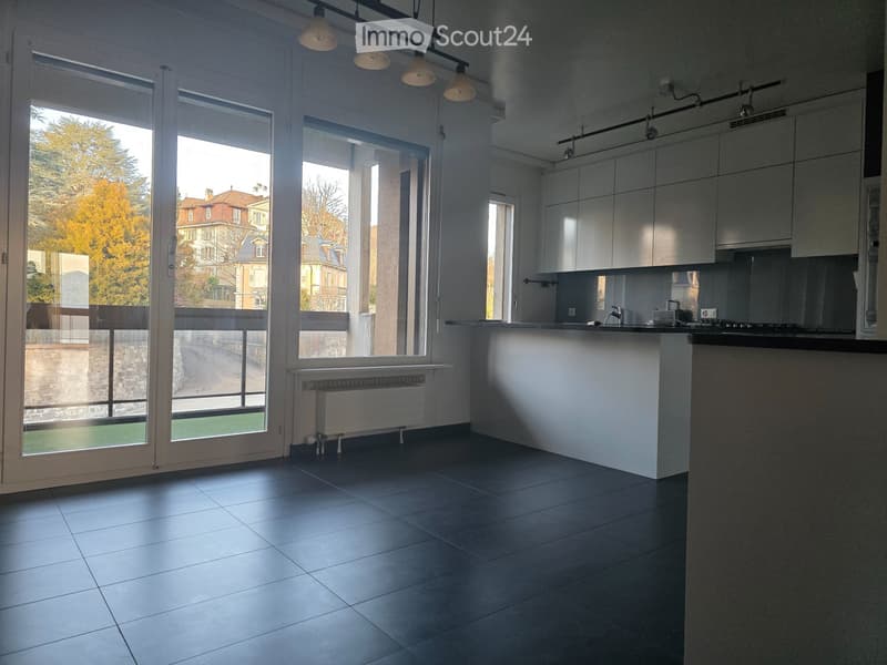 Quartiere Mousquines, appartamento di 3.5 locali (3)
