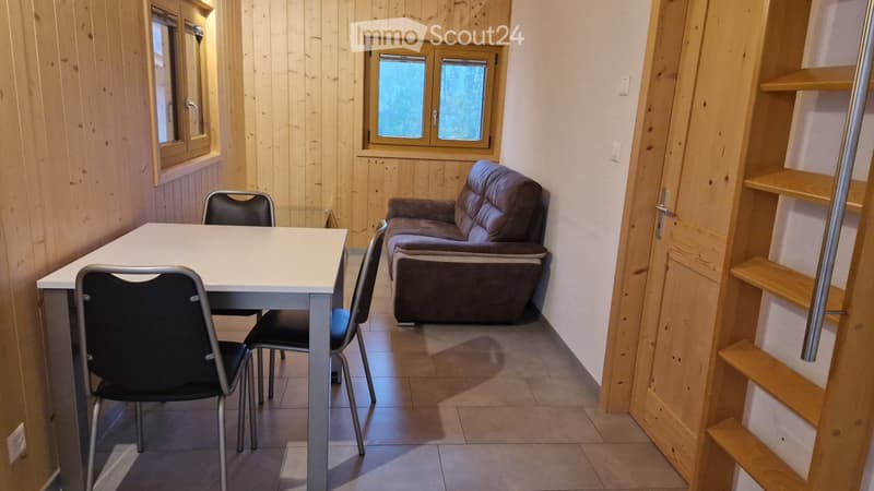 Zweieinhalb-Zimmer-Wohnung in Lourtier (2)