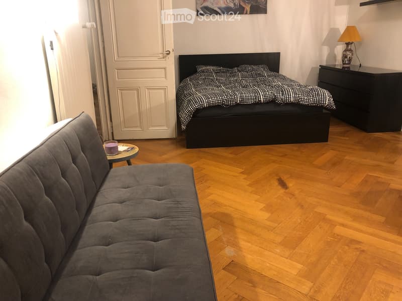 Bel appartement au centre de Genève (3)