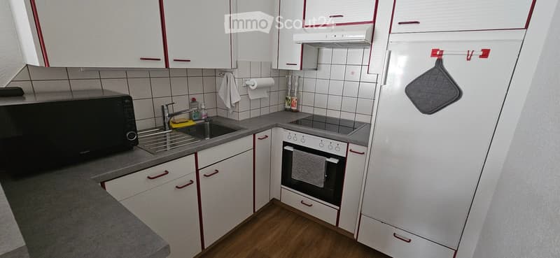 Posizione appartamento 2 locali con terrazza (3)