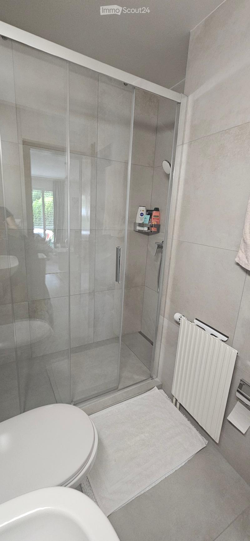 Posizione appartamento 2 locali con terrazza (4)
