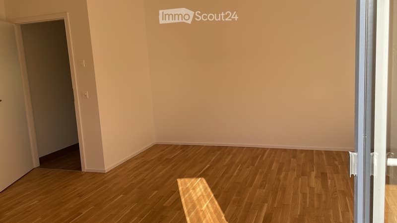 Piano Terra - 2,5 Locali - Nuovo (2)