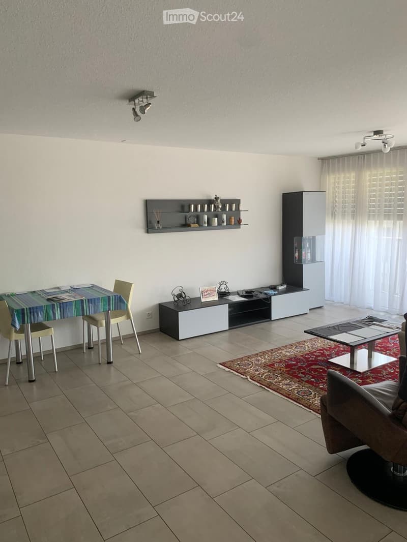 Appartamento luminoso e spazioso di 2,5 locali con ampio balcone (4)