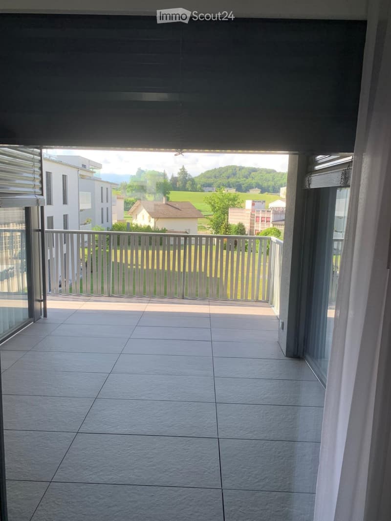 Appartamento luminoso e spazioso di 2,5 locali con ampio balcone (5)
