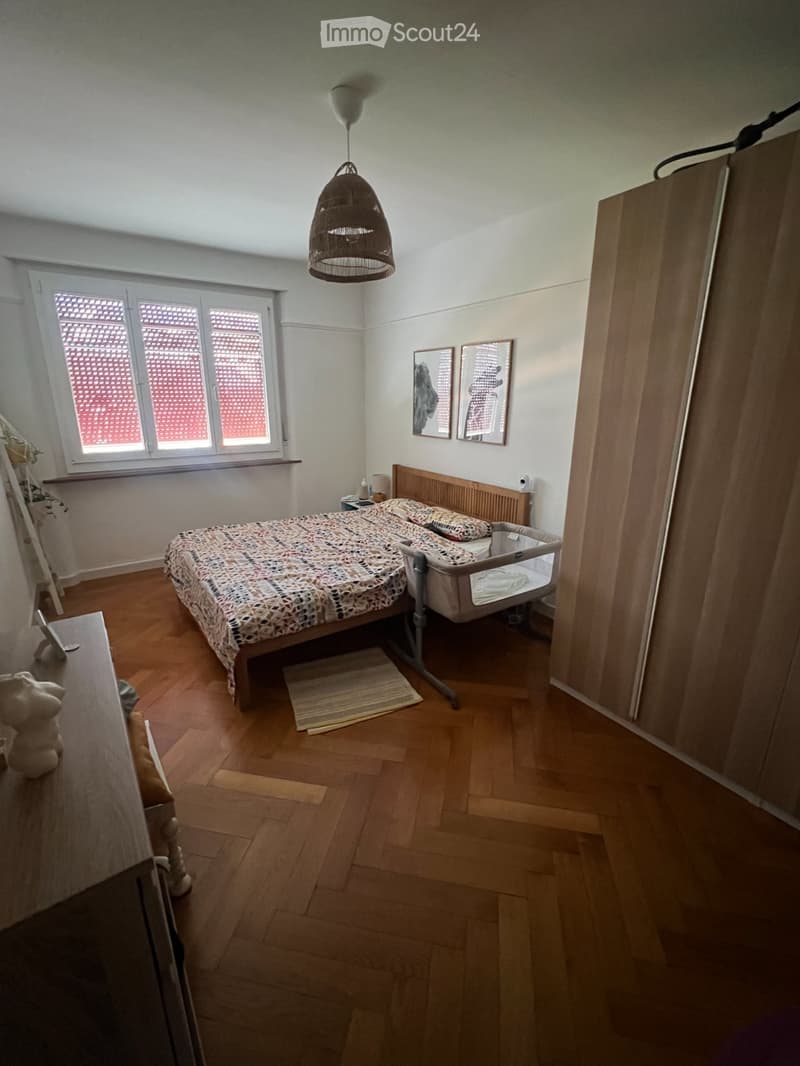 Appartamento di 3 locali luminoso e accogliente in affitto (3)