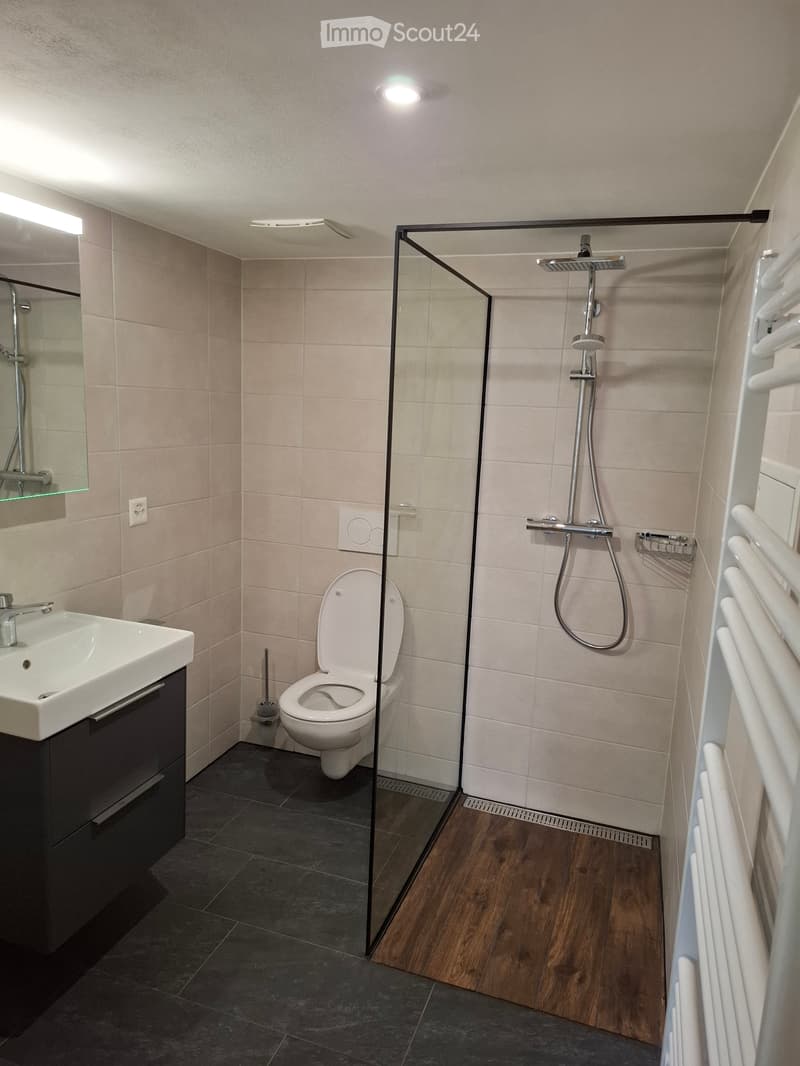 Appartamento 2,5 locali (2)