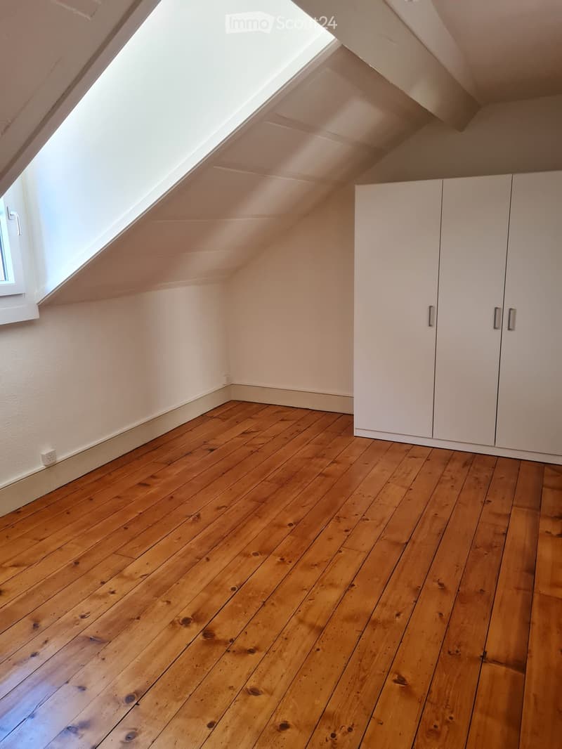 Apartment in the center of Coppet (5)