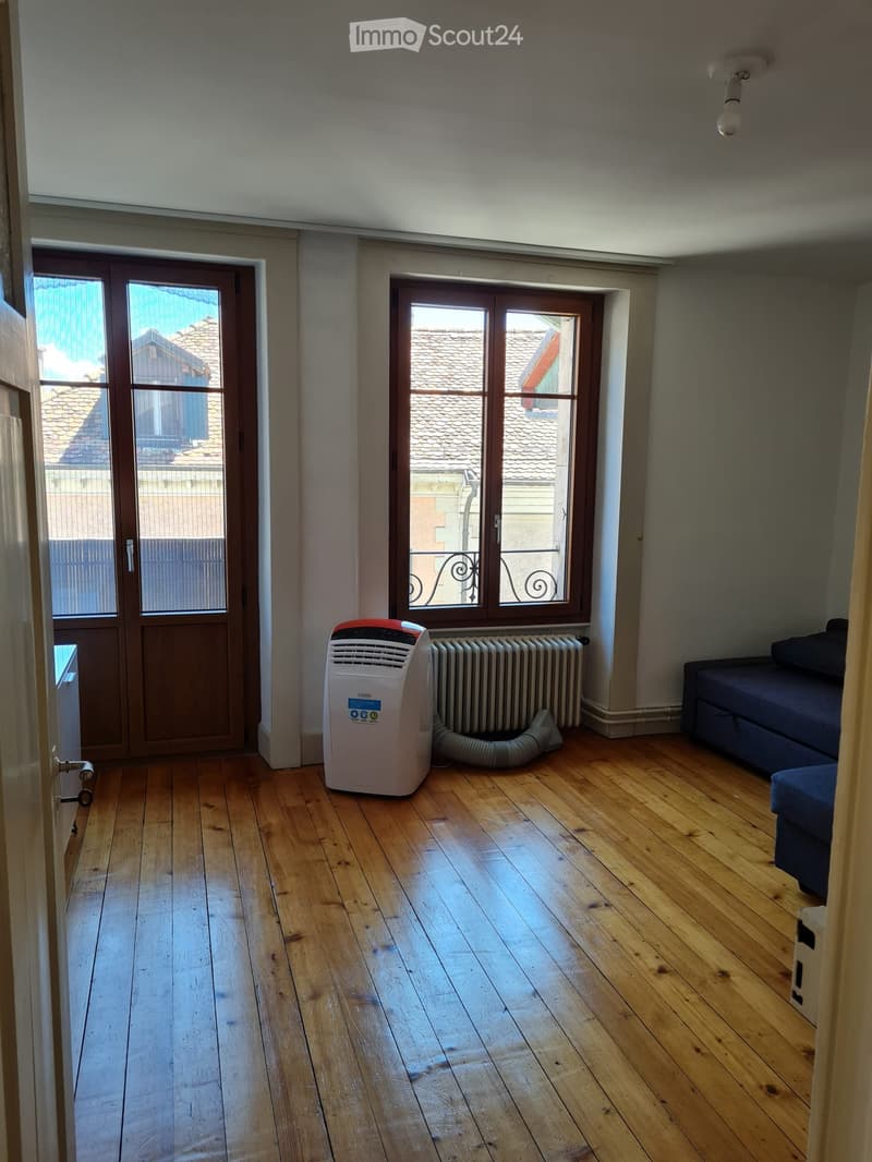 Apartment in the center of Coppet (2)