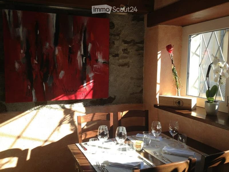 Vend MAISON, 6 chambres avec Grotte et Jardin (5)