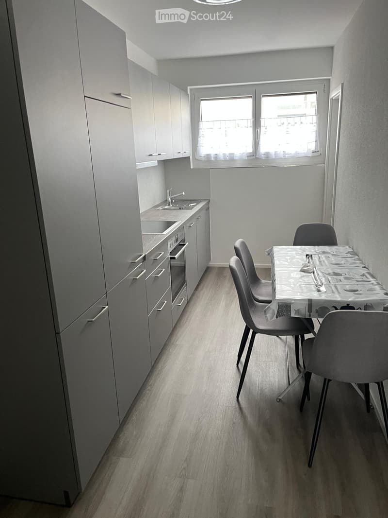 Delémont. Zu vermieten, 2-Zimmer-Wohnung möbliert (1)