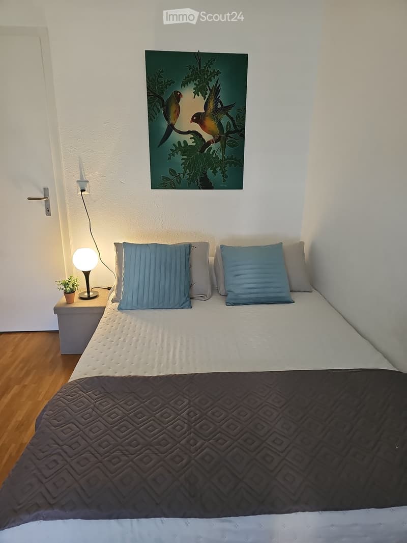 Belle chambre avec salle douche et WC chez l'habitant (1)