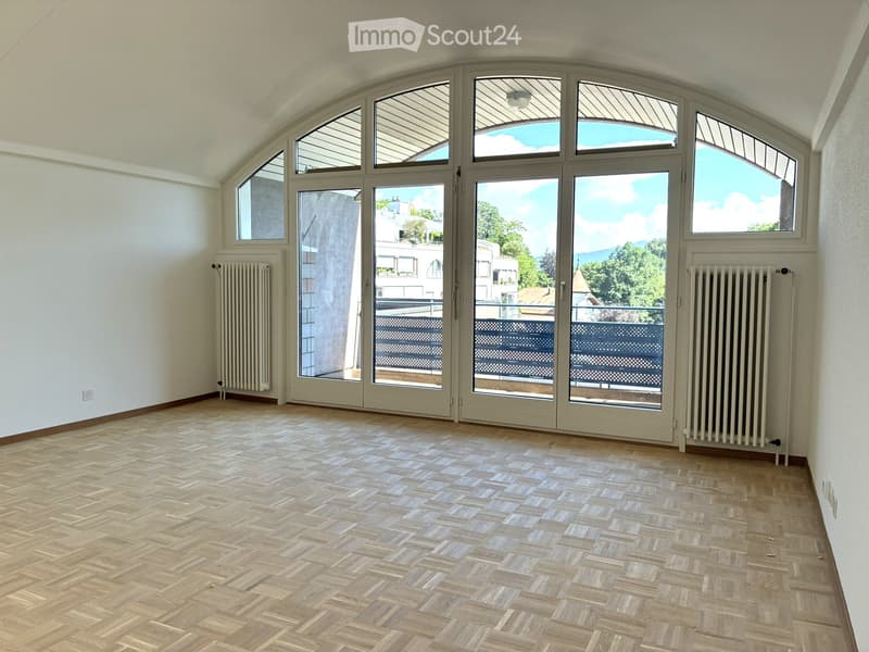 Magnifico appartamento duplex nel cuore di Nyon (1)