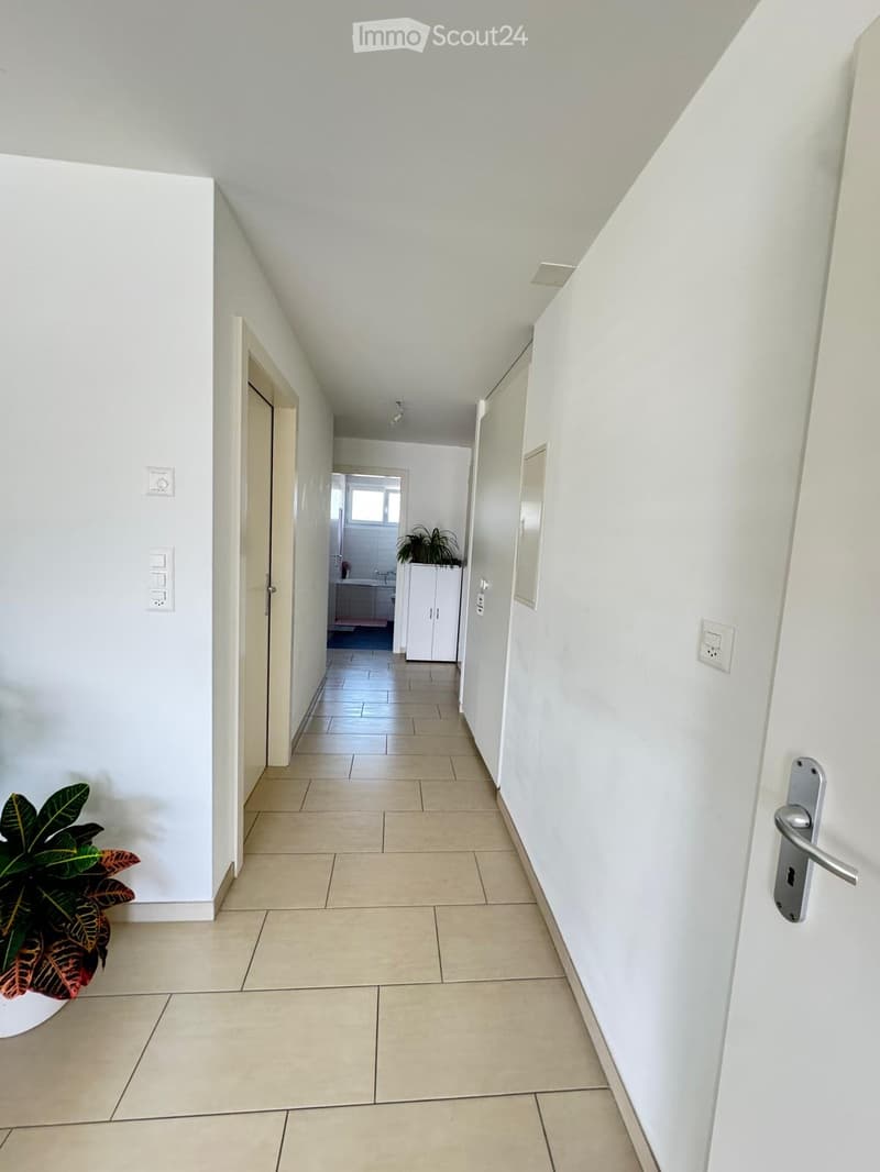 Posizione appartamento 3,5 locali (5)
