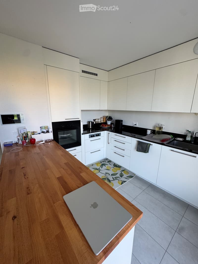 A louer au 15.7.26, magnifique appartement de 3.5 (2)