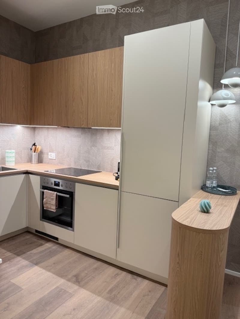 Magnifique appartement meublé en plein centre de Neuchâtel (2)