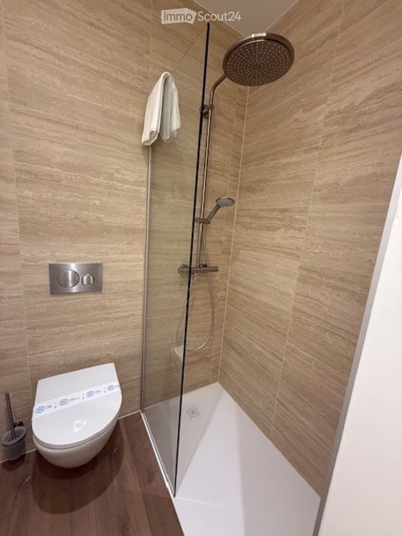 Magnifique appartement meublé en plein centre de Neuchâtel (3)