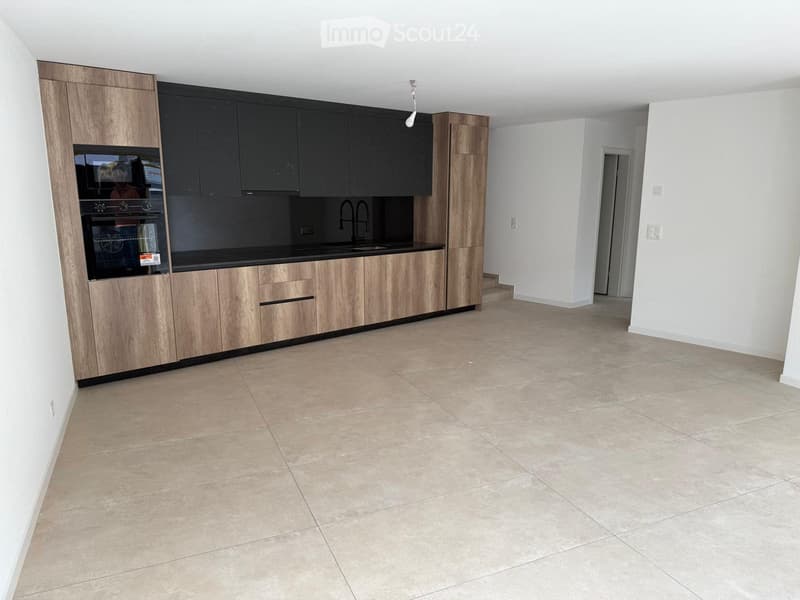 In affitto villa 4.5 locali nuova a Moudon (2)