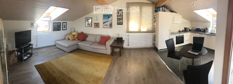 Magnifique appartement 4 pces + terrasse, commune de Veyrier (1)