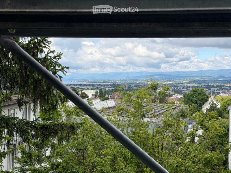 Renovated apartment with partial lake view (1)