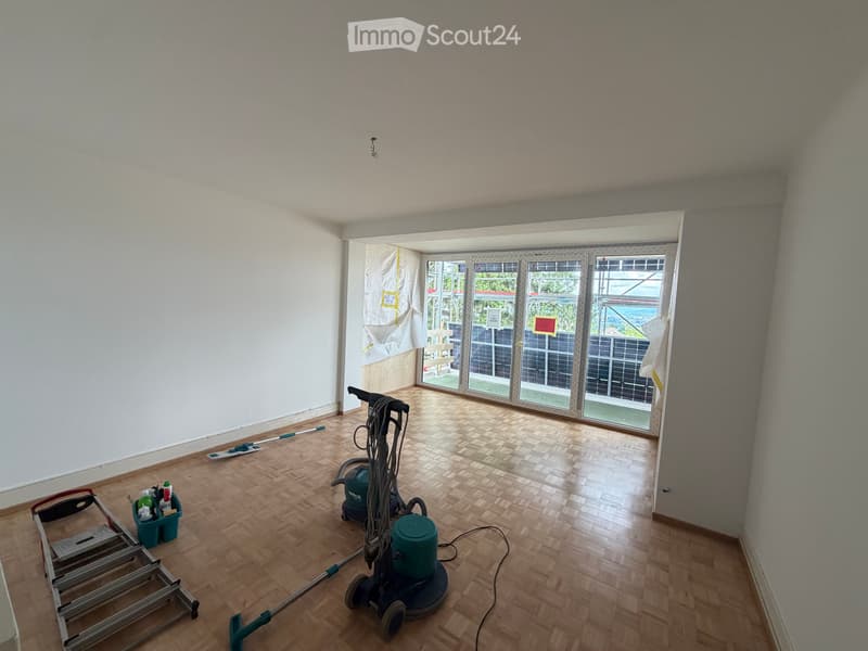 Renovated apartment with partial lake view (2)
