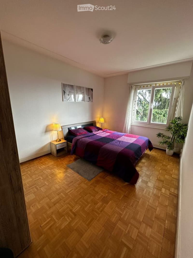 Renovated apartment with partial lake view (3)