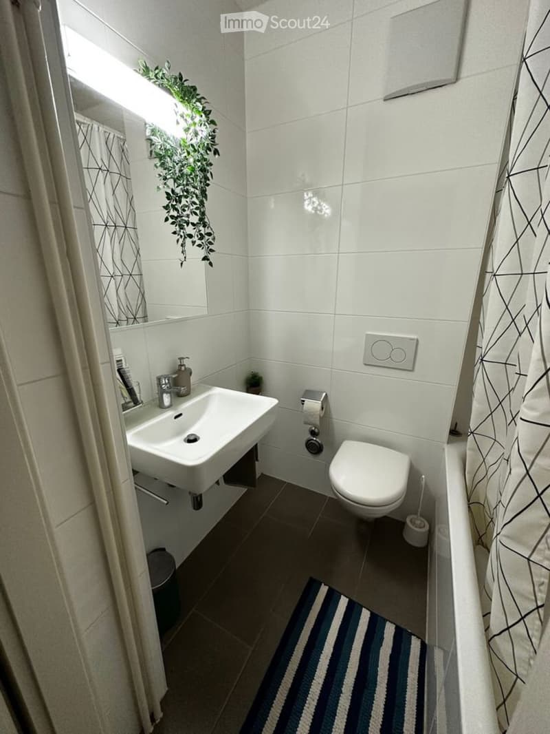 Renovated apartment with partial lake view (4)