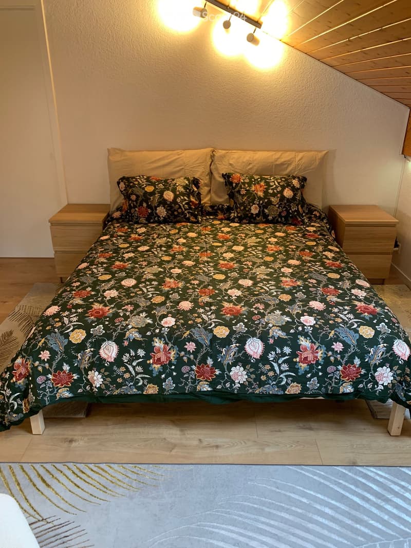 Appartement in Wohngemeinschaft (6)