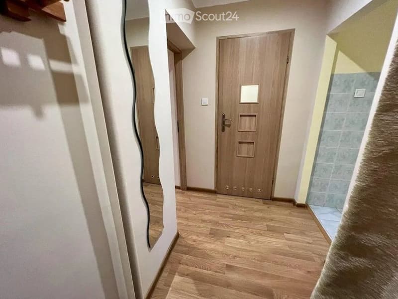 Studio mit allem Komfort, 45 m², mit Balkon in Genf (2)