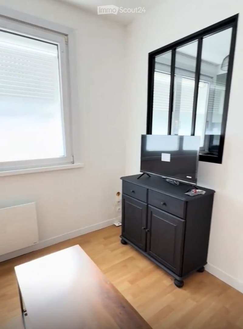 Delizioso studio in affitto Birmensdorferstrasse, 8055 Zürich (4)