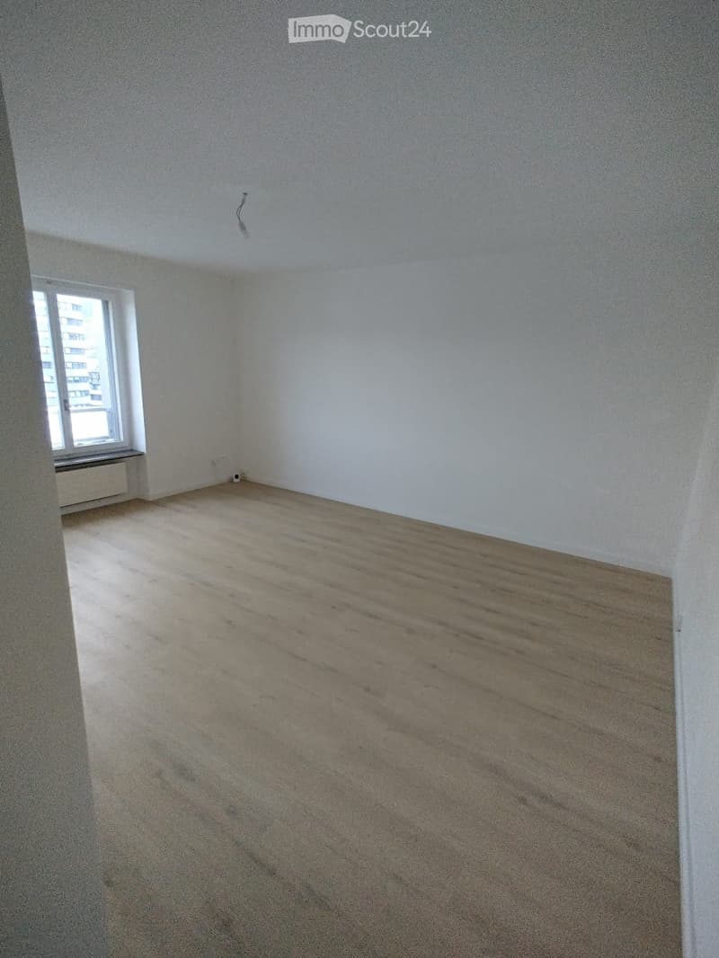 Très joli appartement au centre ville sur le pode (1)