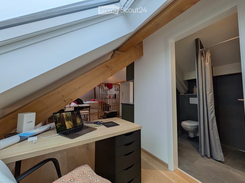 Studio möbliert zur Miete in Lausanne, ab 1. August verfügbar (5)