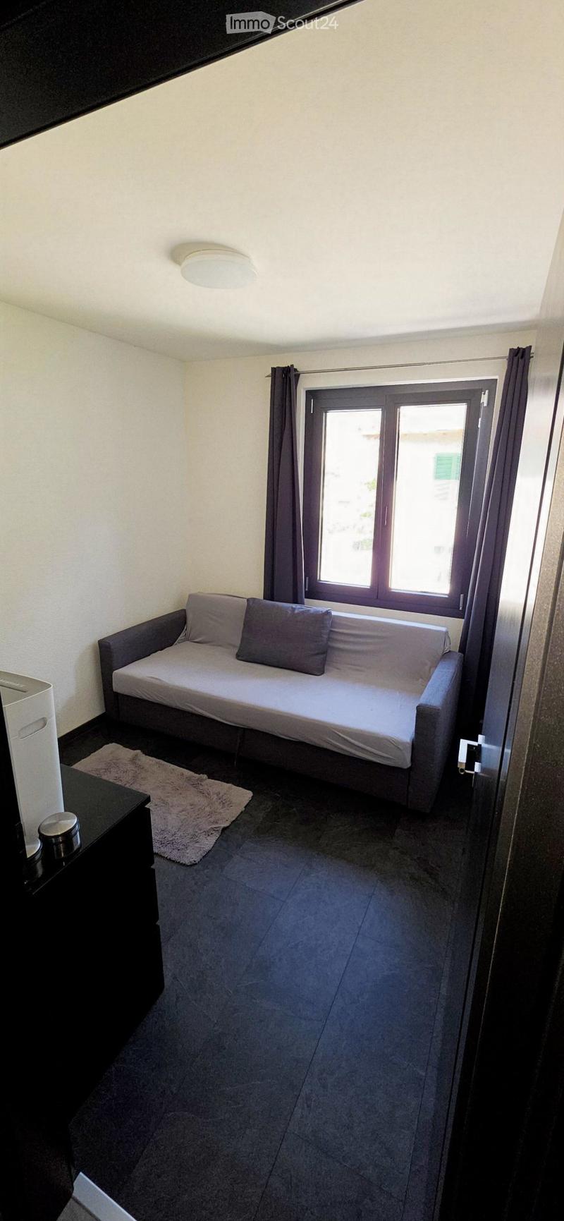 Apartment 3.5 rooms completely renovated with 2 balconies (2)