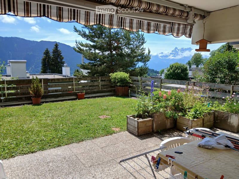 Schönes 3.5 mit sonniger Terrasse (2)